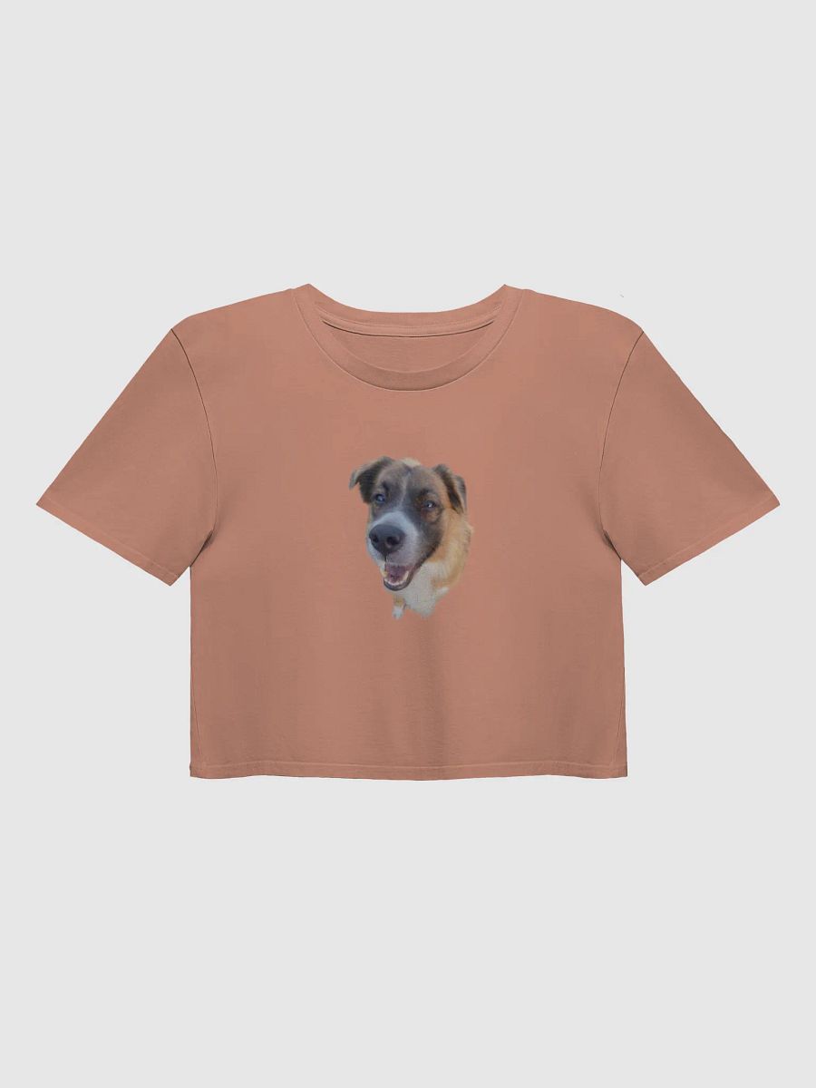 Harry Cropped T Shirt product image (1)
