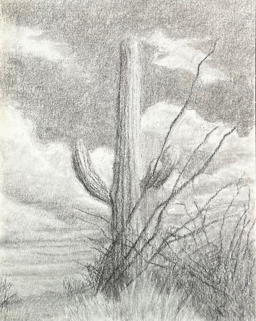 Cactus Scape product image (1)