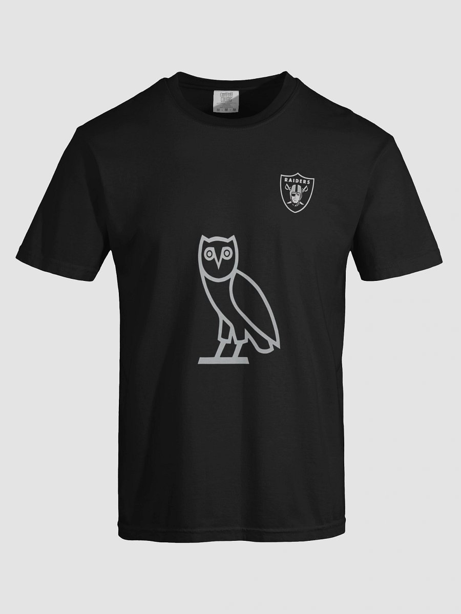 Guardian Owl Shield T-Shirt product image (7)
