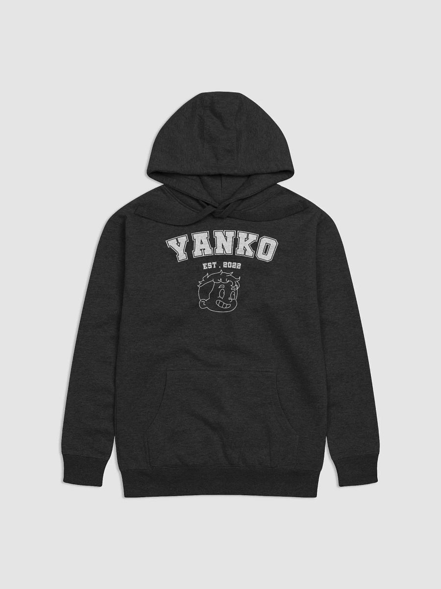 YANKO HOODIE product image (1)