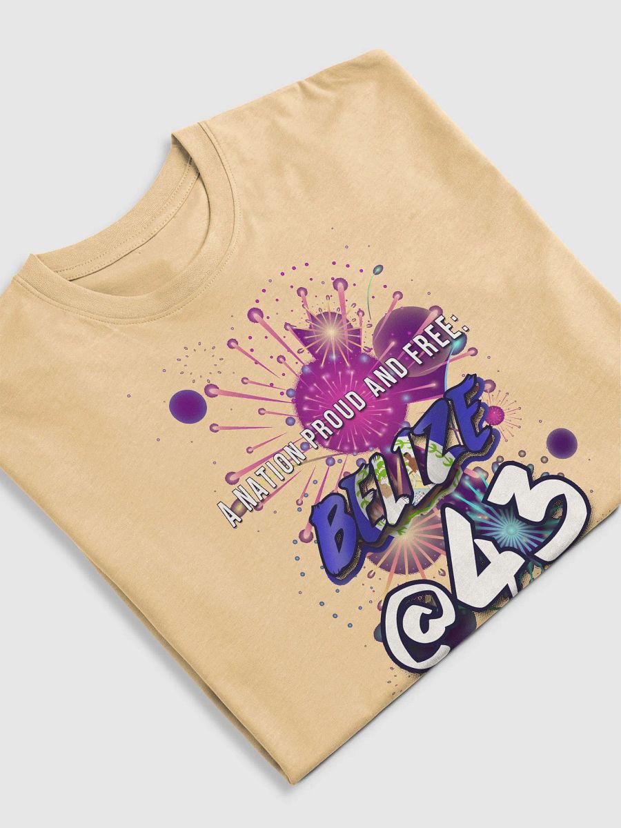 September Celebration T-Shirt (Inside Flag Design) product image (5)