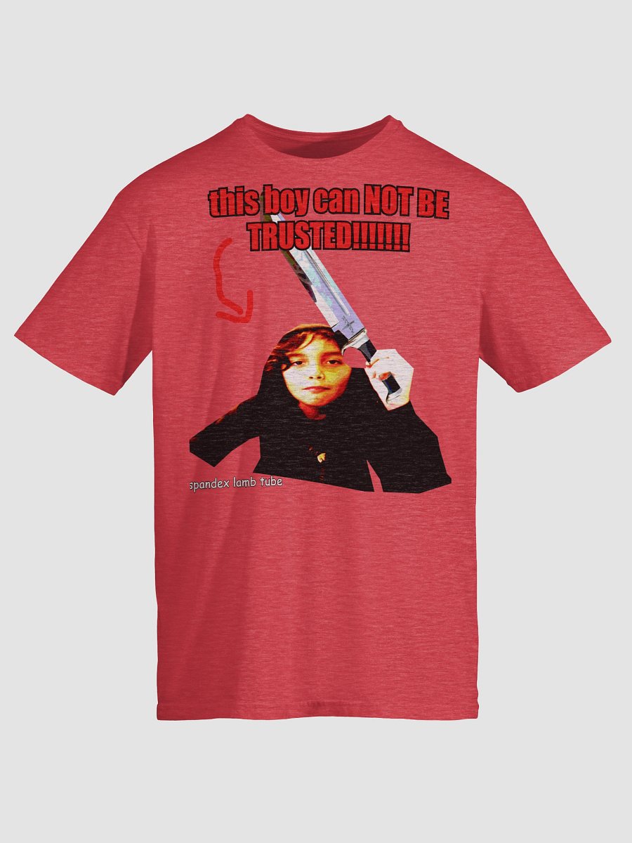 this boy can NOT BE TRUSTED!!!!!!!!!!!!! product image (18)