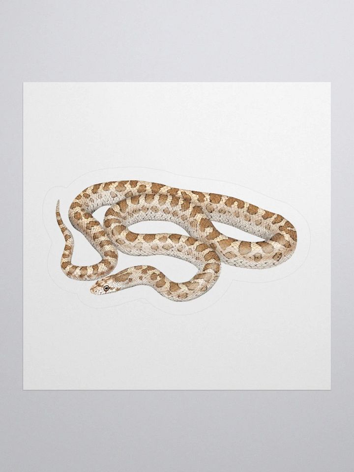 Die-Cut Sticker – Glossy Snake product image (1)