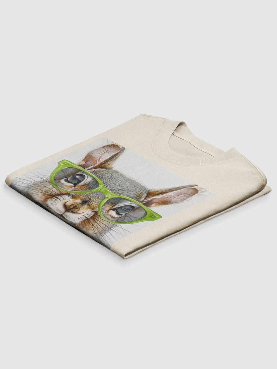 420 Pooky Oversized Tee product image (4)