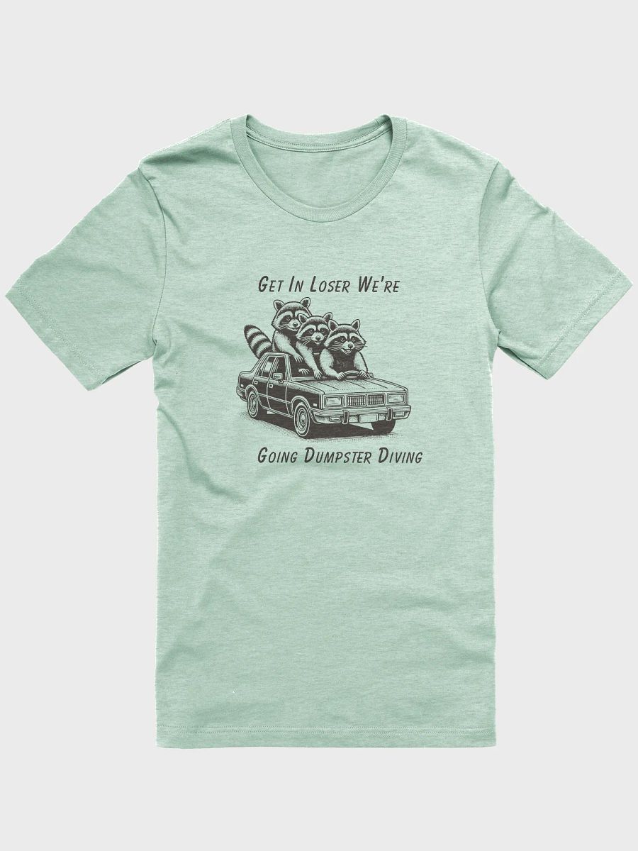Raccoon Road Trip product image (21)
