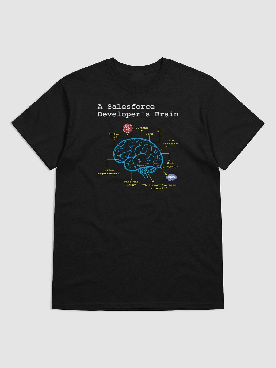 A Salesforce Developer’s Brain product image (6)
