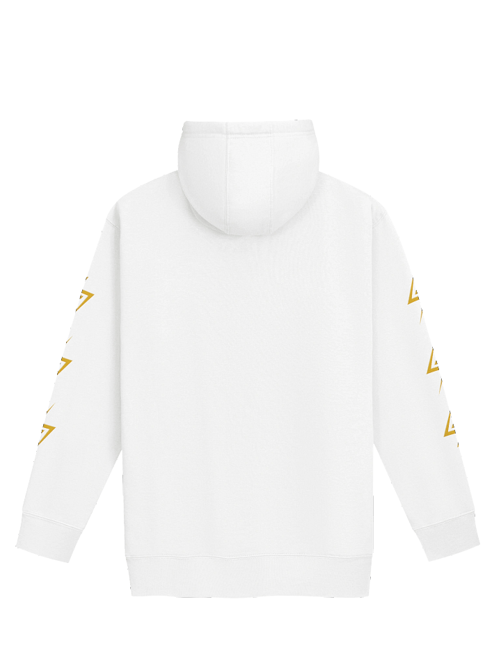 Team Unown Team Hoodie product image (5)