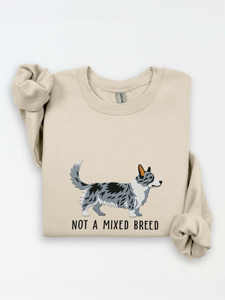 Not a Mixed Breed Sweatshirt (Embroidered) of a Cardigan Welsh Corgi(Blue Merle) product image (1)