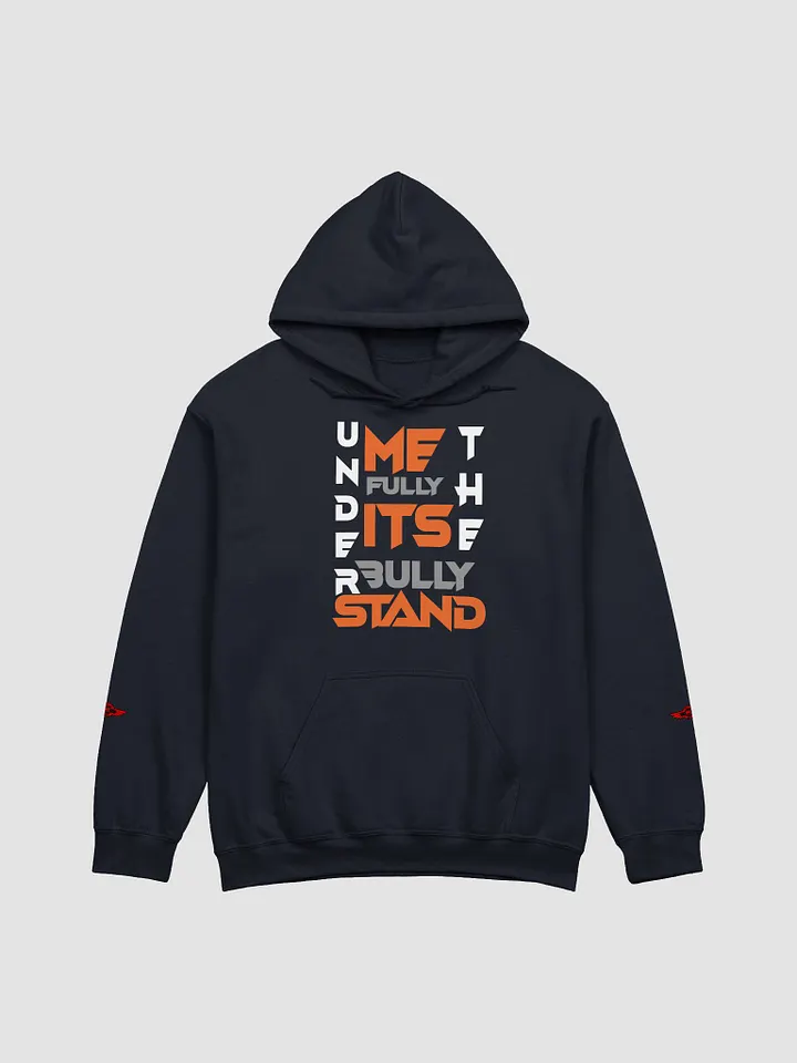 UNDERSTAND FULLY (HOODIE ) LD product image (1)