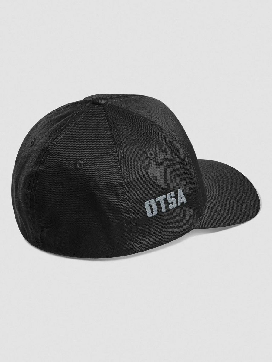 NEW 2025 OTSA Logo FLEX FIT Hat product image (3)