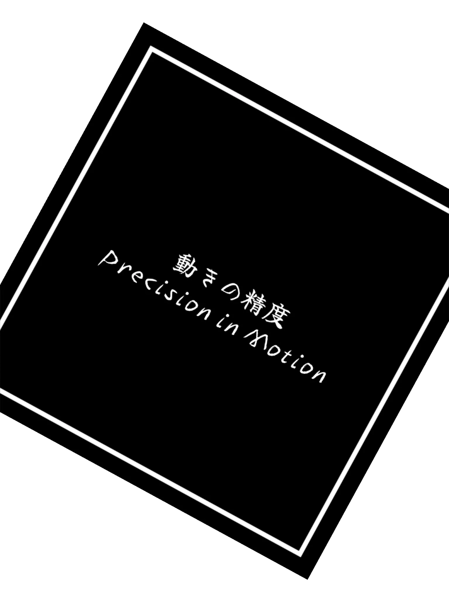Precision In Motion product image (2)