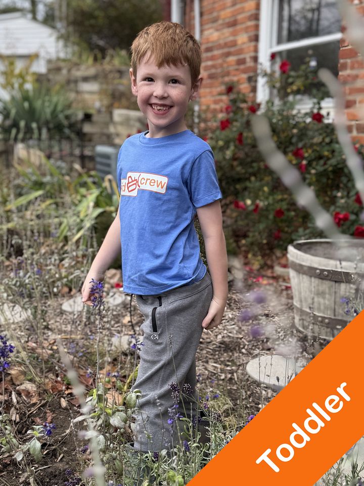 Classic Tee - Toddler product image (1)