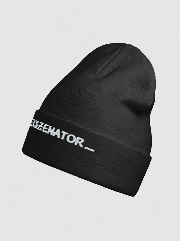 Beanie product image (2)