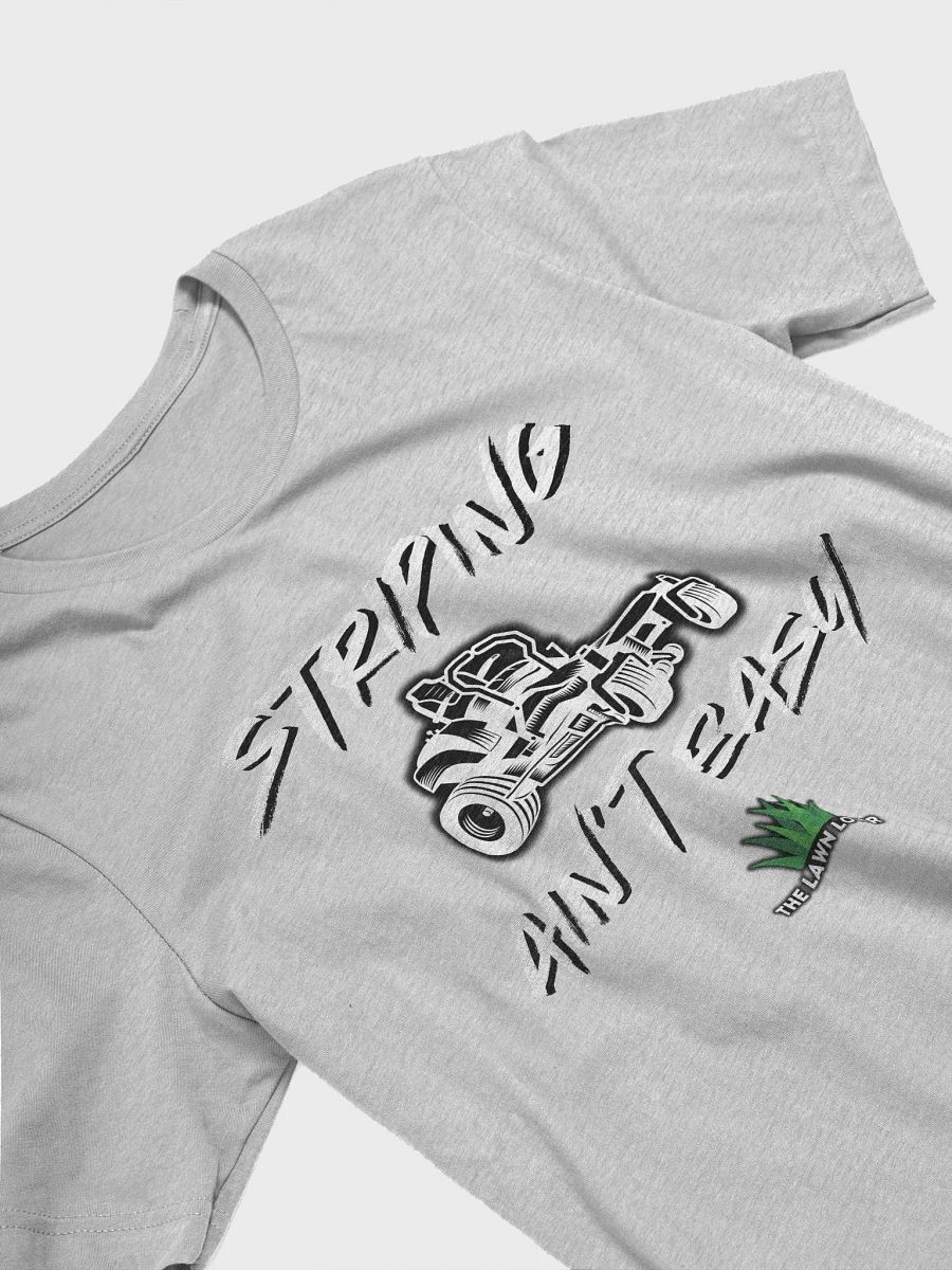 Striping Ain't Easy Tee product image (18)