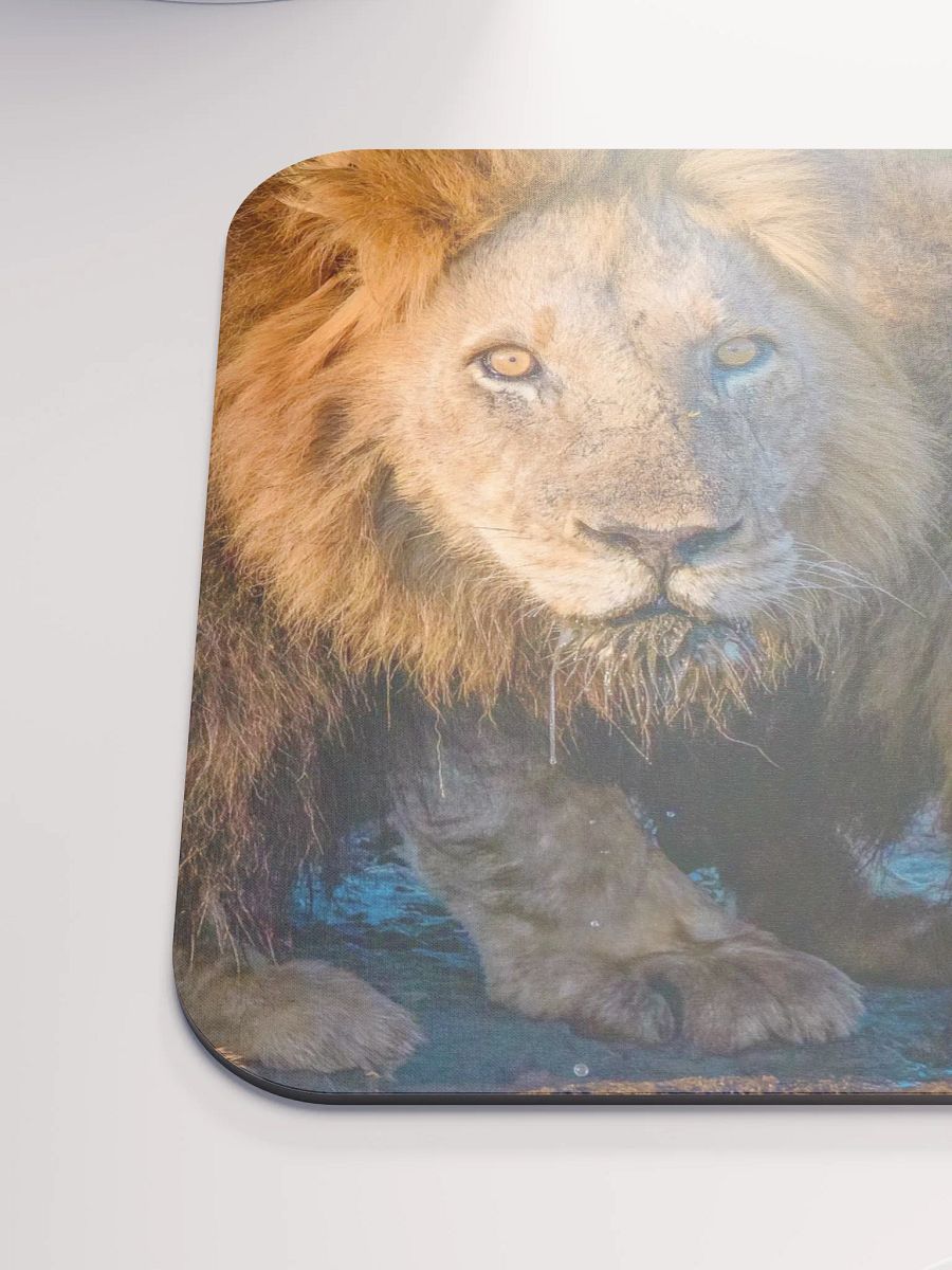 Unique mouse pad with two male lions from Kruger Park product image (6)