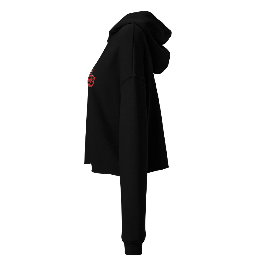 TTV crop hoodie product image (2)
