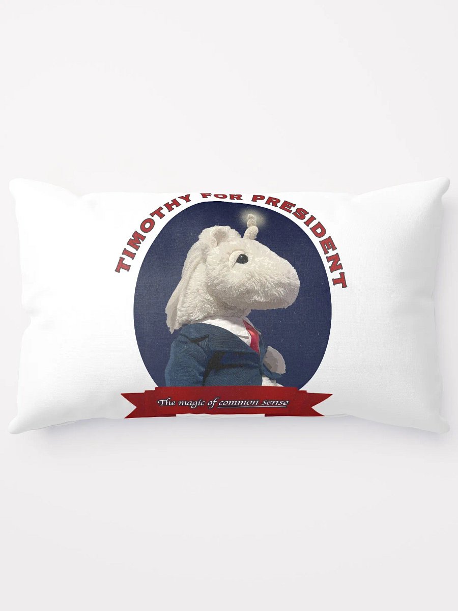 Timothy for President - Pillow product image (1)