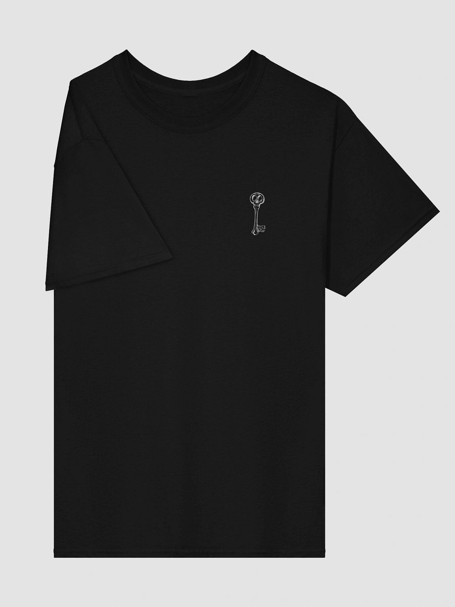 Skeleton Key T-shirt product image (26)
