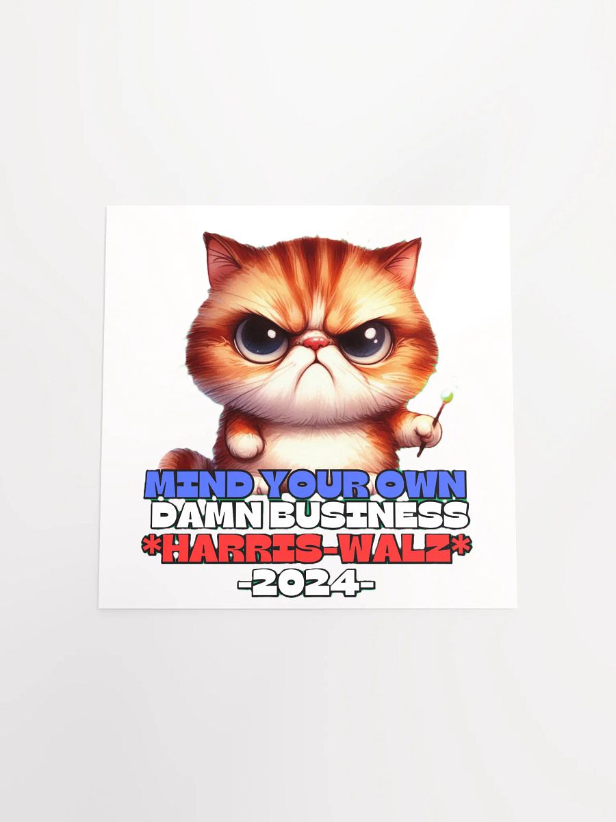 HARRIS-WALZ 2024 MIND YOUR OWN DAMN BUSINESS product image (18)