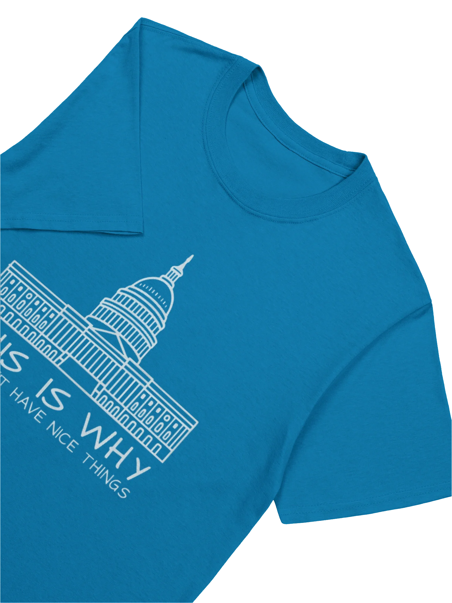 This Is Why We Can’t Have Nice Things T-Shirt product image (6)