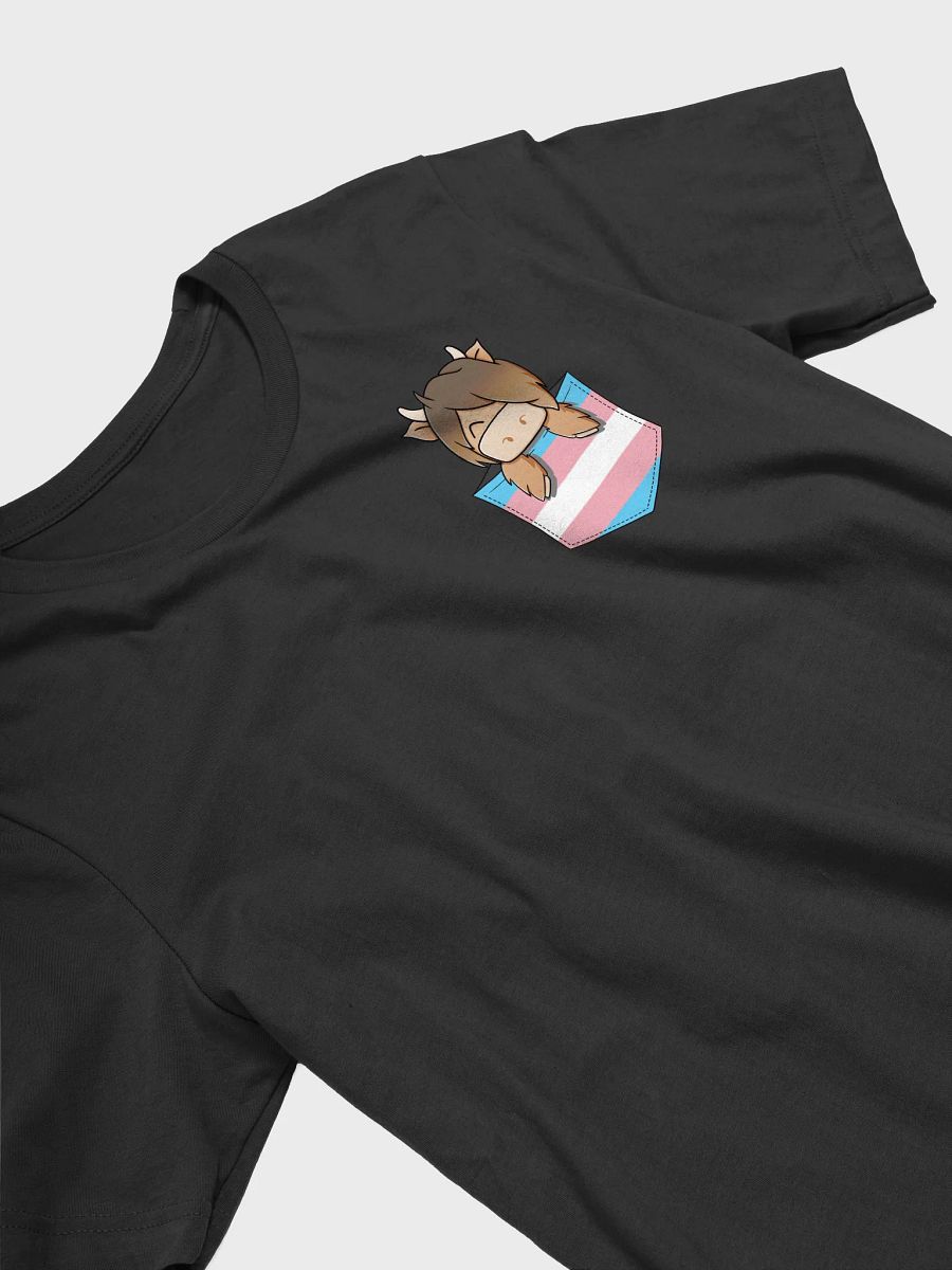 Trans Pocket Hamish Pride product image (18)