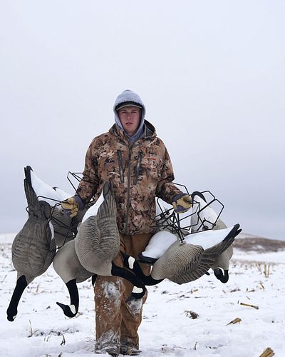 Weather is cold and the geese are hungry, but nothing is gonna stop us from getting into the fields unless the birds are gone...