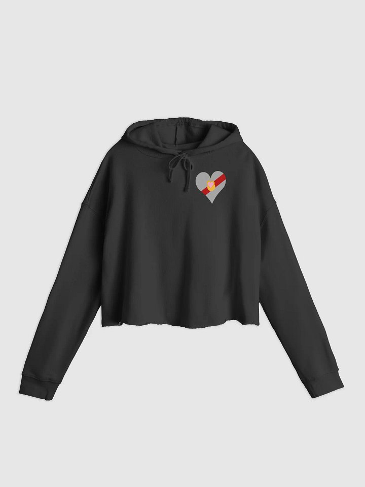 Heart and Shield Crop Hoodie product image (3)