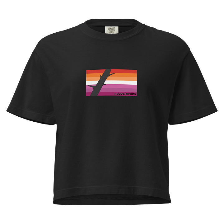Dyke Flag Shirt product image (1)