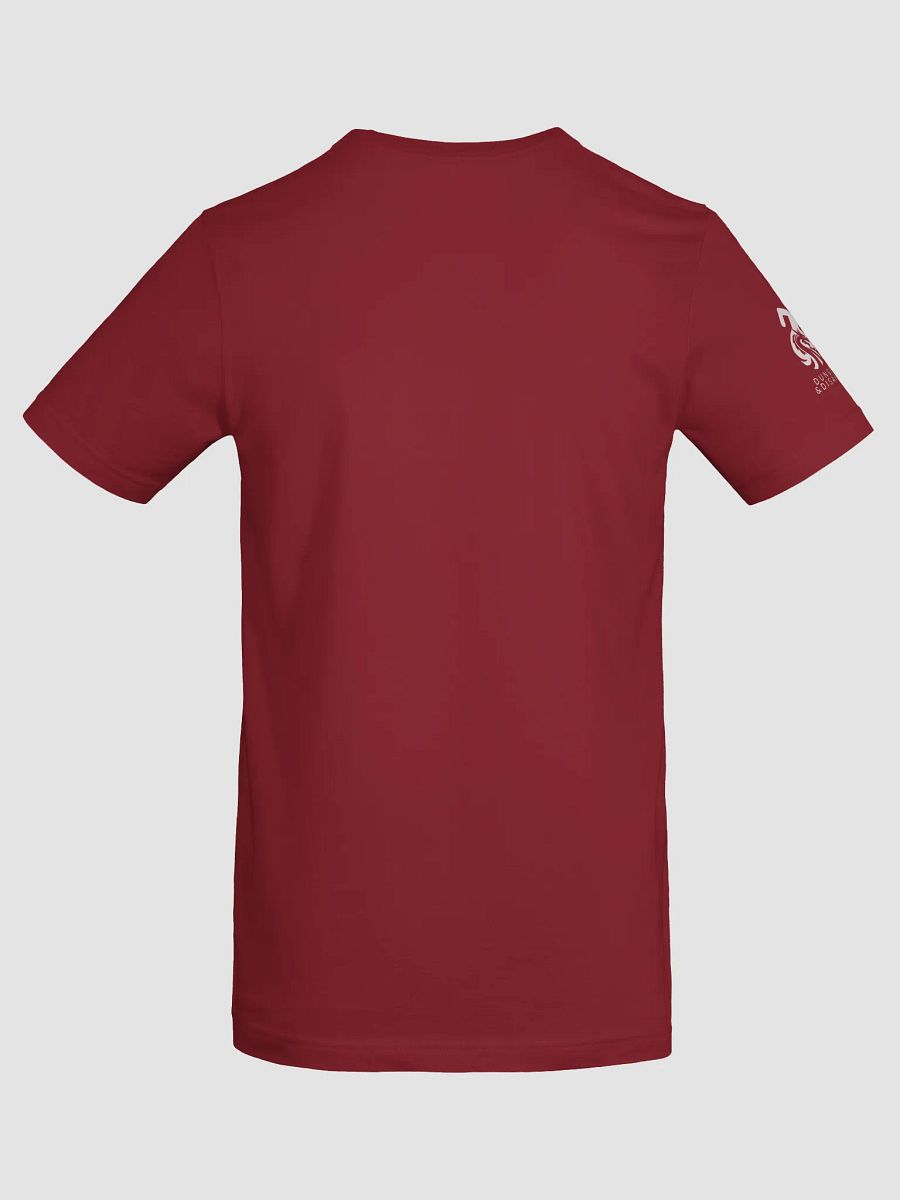 DRAGON GAMES - Bella+Canvas Supersoft T-Shirt product image (18)