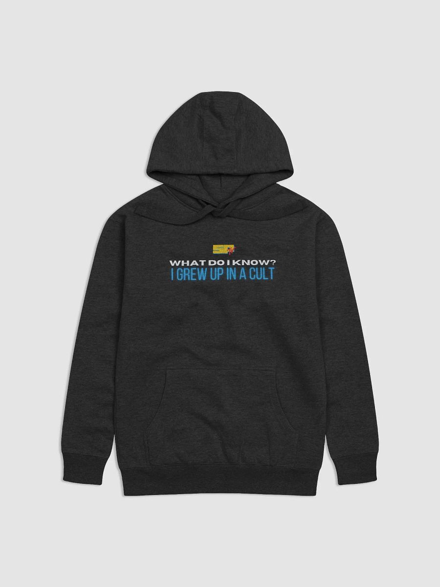 What do I know? Hoodie product image (2)