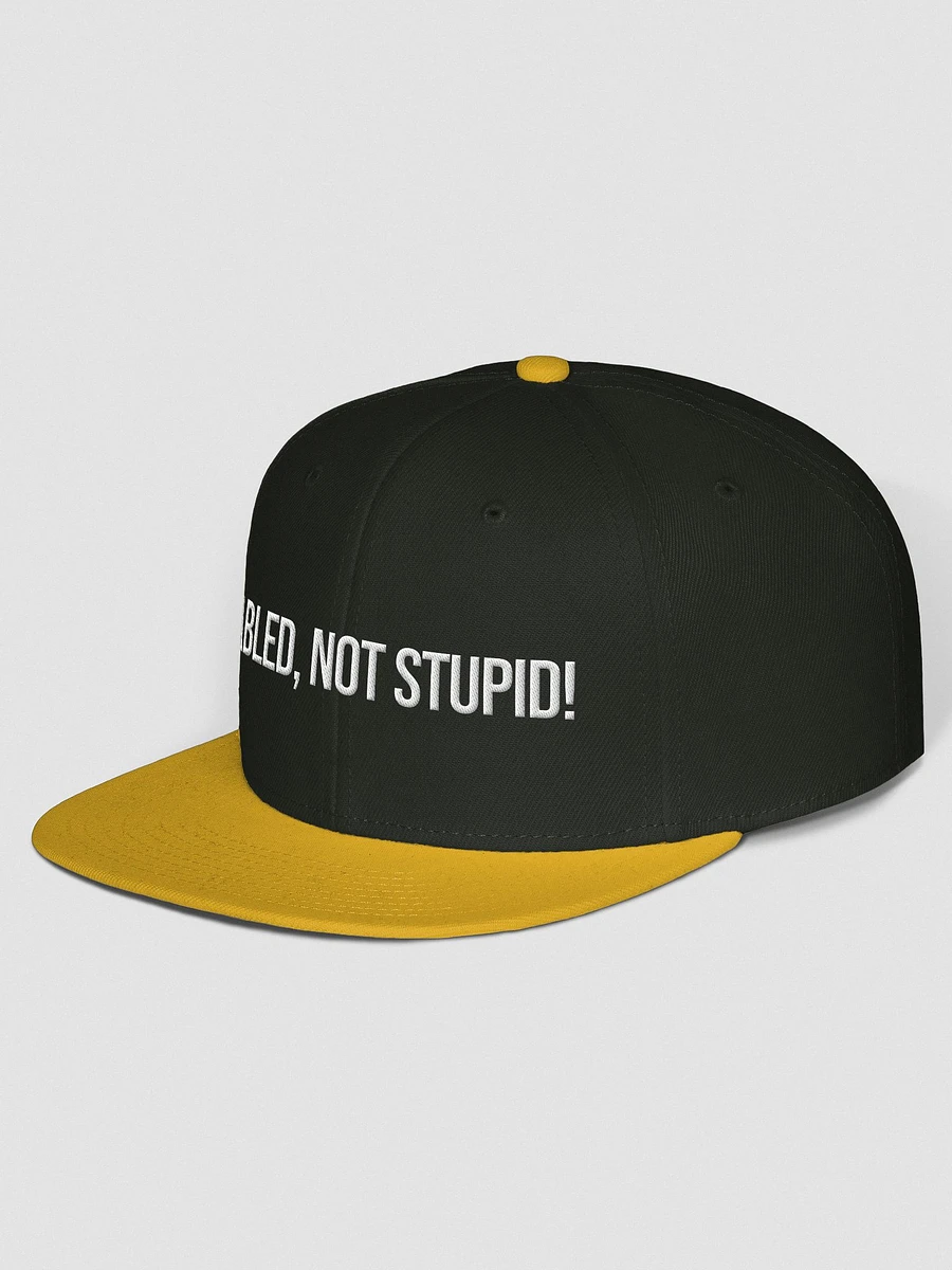 Disabled, Not Stupid! Cap product image (15)