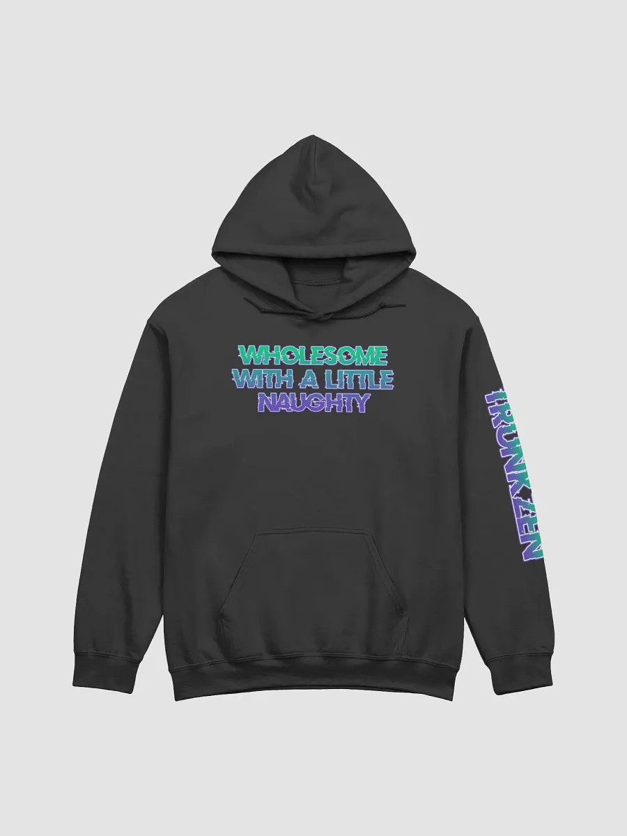 Wholesome and Naughty Hoodie product image (1)