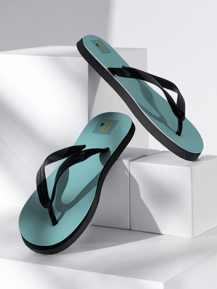 Customizable IL Logo Flip-Flops product image (2)