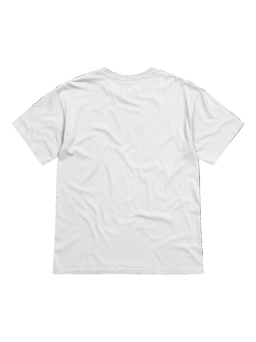KING GIZZARD AND THE LIZARD WIZARD T-SHIRT (GILA) V2 product image (4)