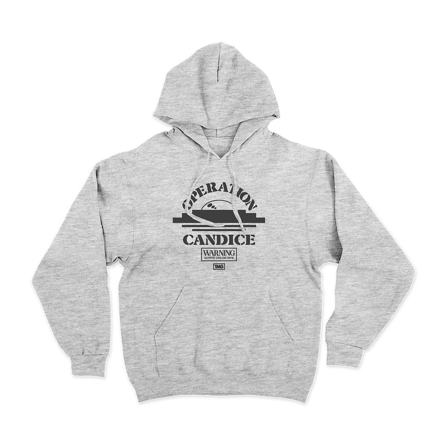 Area 69 Grey Hoodie product image (1)