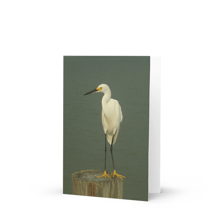 Egret Elegance Greeting Card product image (1)