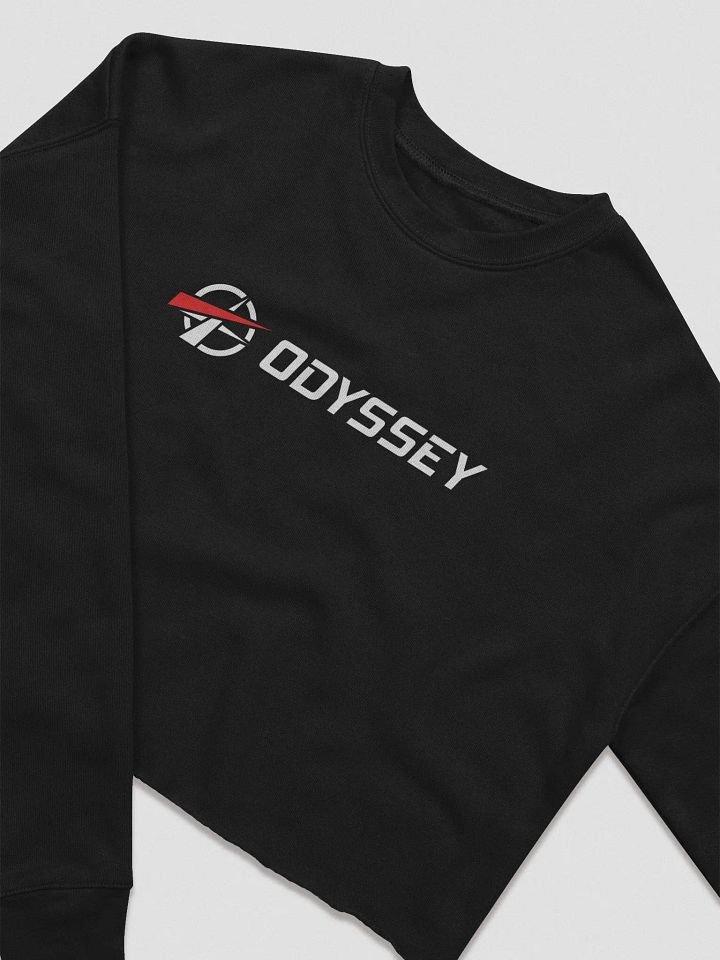 Odycrop Eurotop - Sweater product image (2)