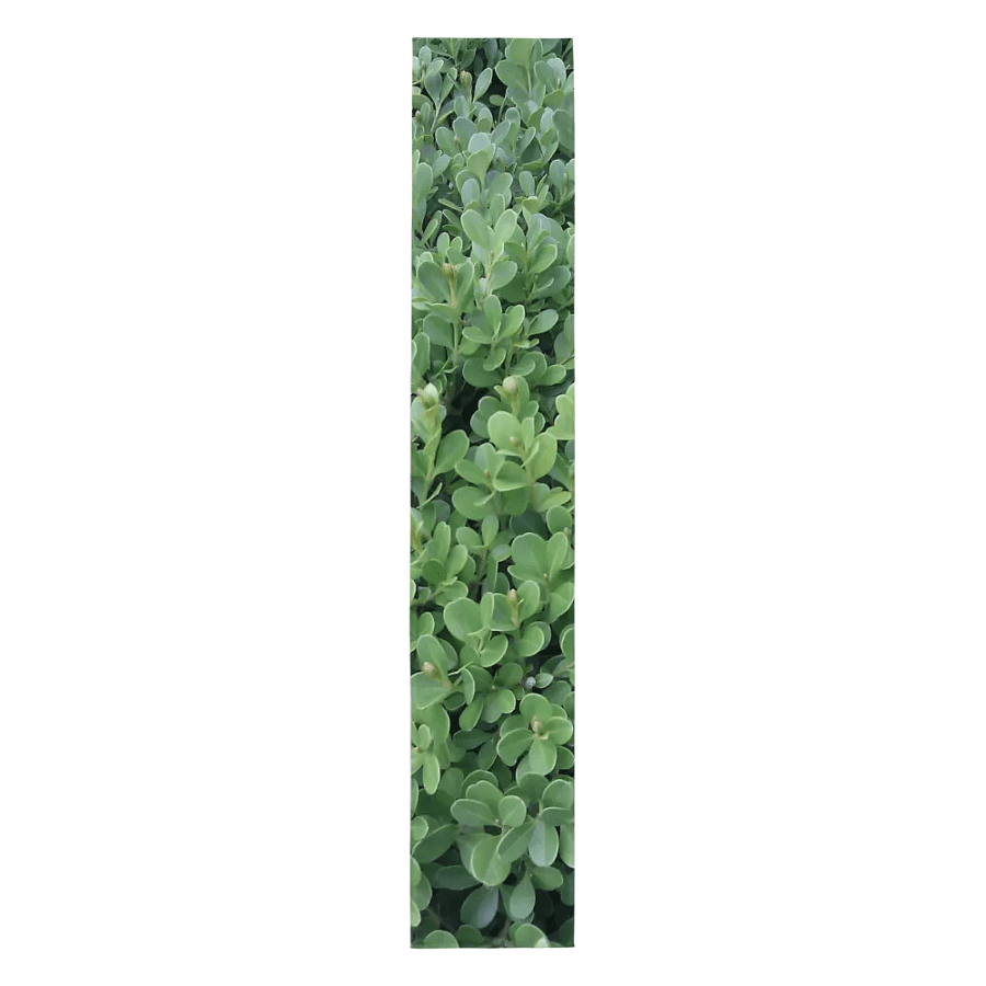 "Green Leaf" Table Runner product image (6)