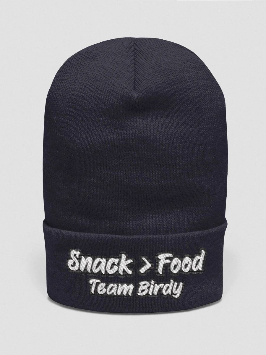 Team Birdy Beanie product image (1)