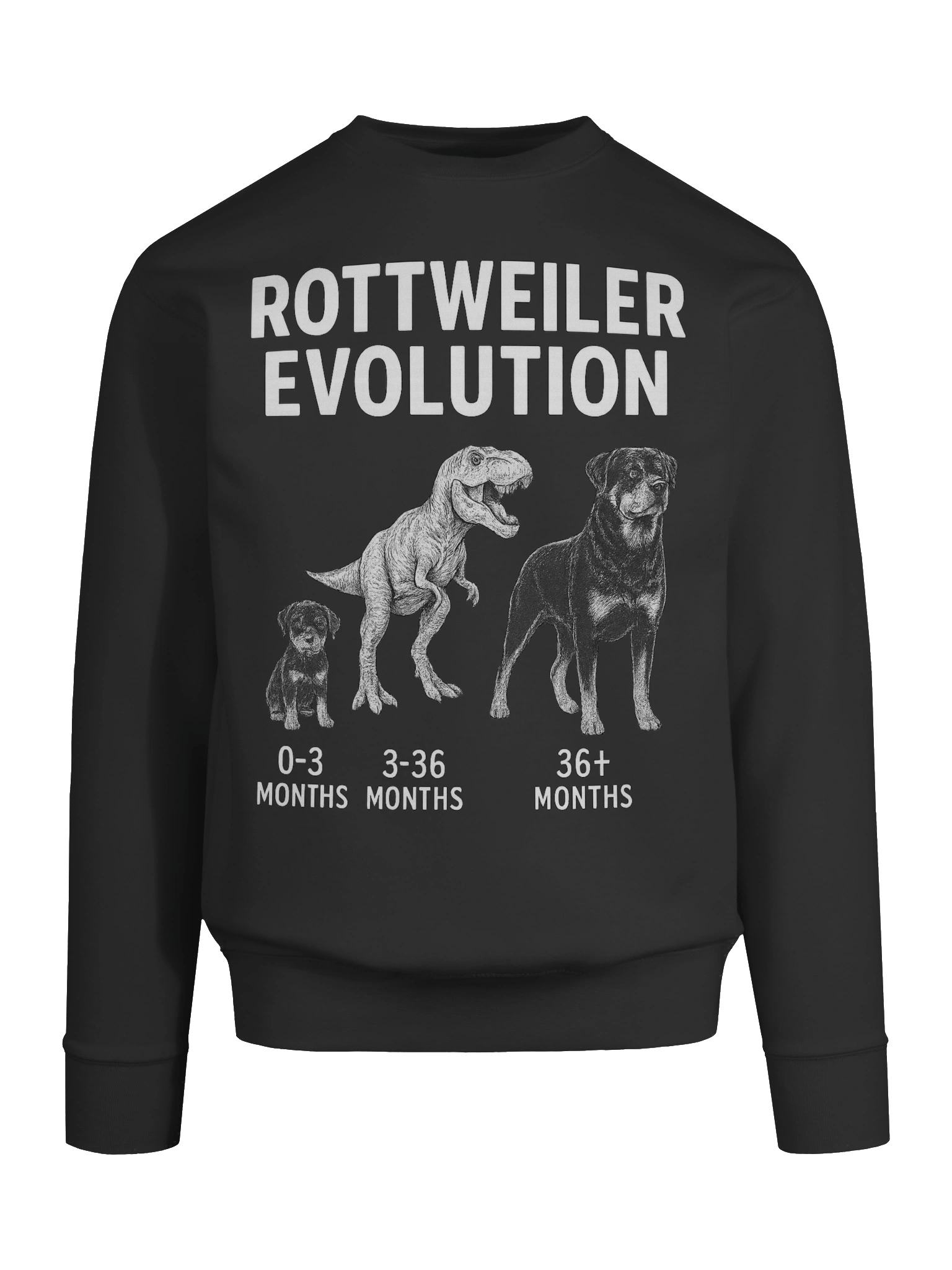 Rottweiler Evolution Premium Sweatshirt product image (51)