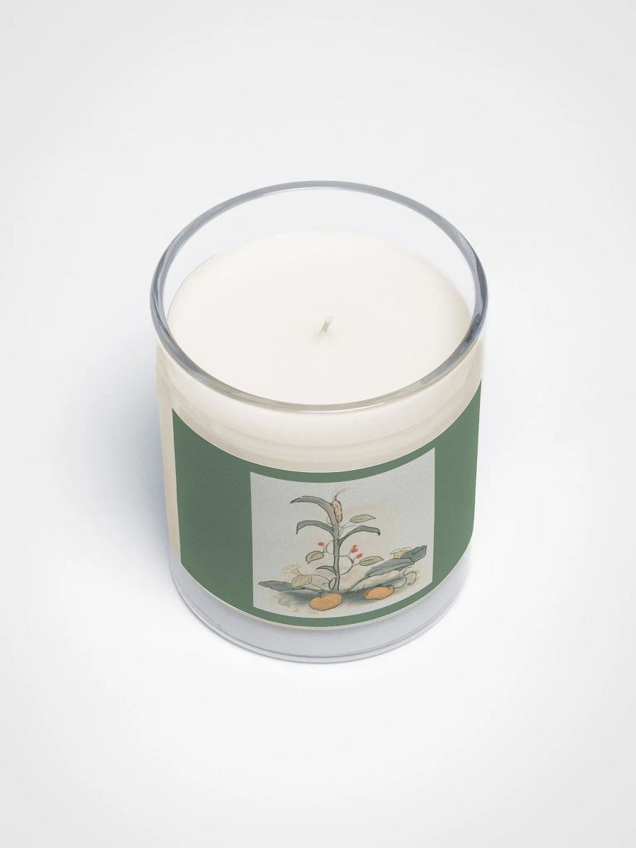Harvest Spice Soy Candle in Clear Glass Jar product image (3)