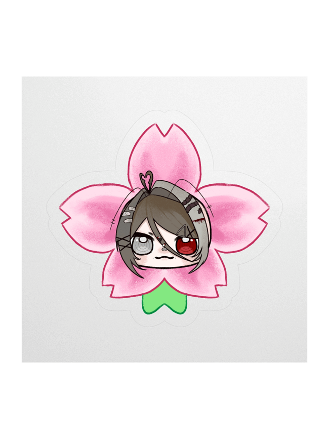 Cherry Blossoms 🌸