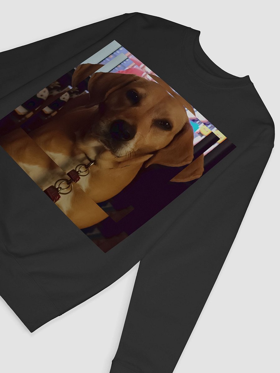 Luna Sweatshirt product image (60)