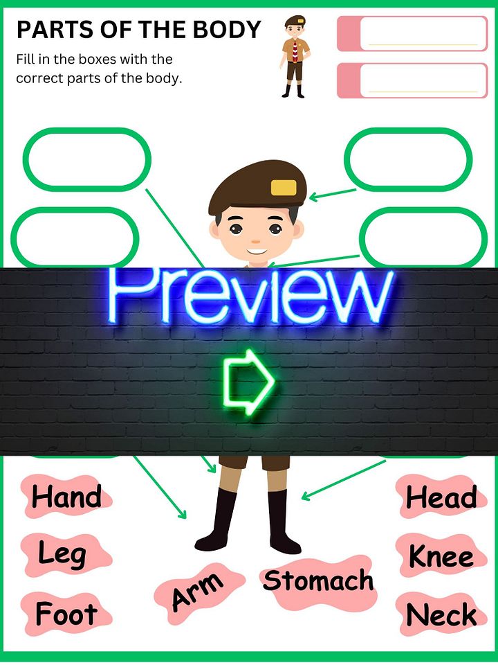 Parts of the Body Worksheet product image (2)