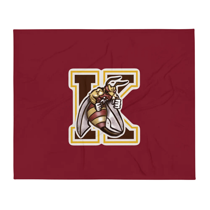 KERMIT BLANKET product image (2)