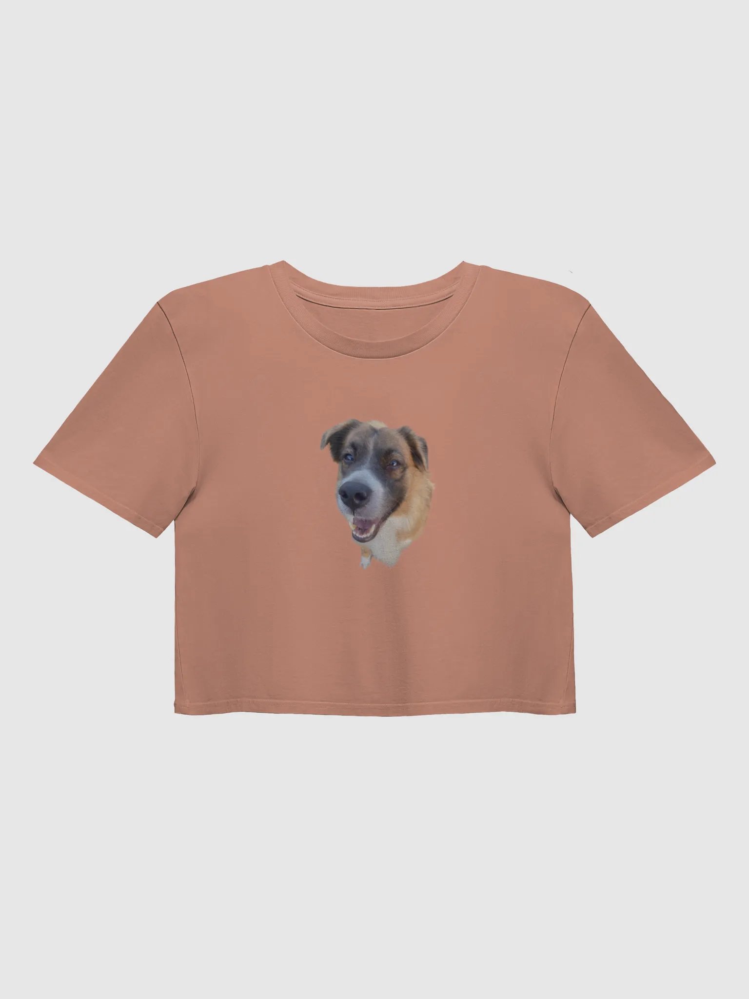 Harry Cropped T Shirt product image (1)