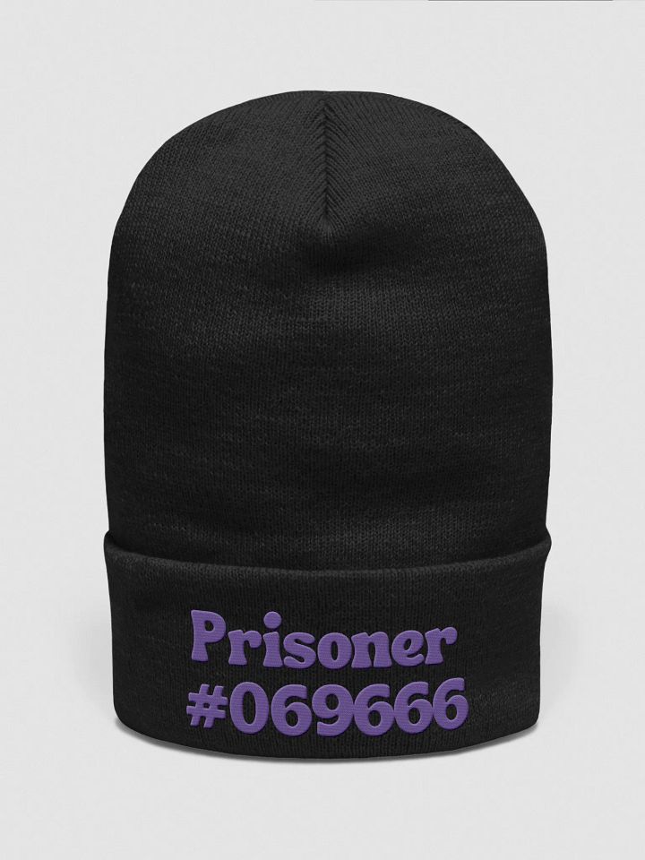 #069666 Beanie product image (1)