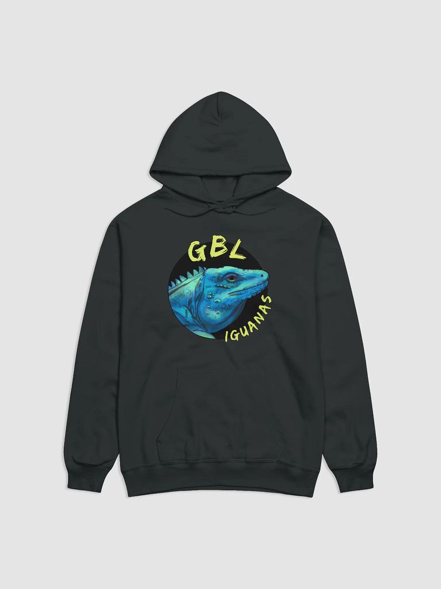 GBL Hoodie! product image (1)