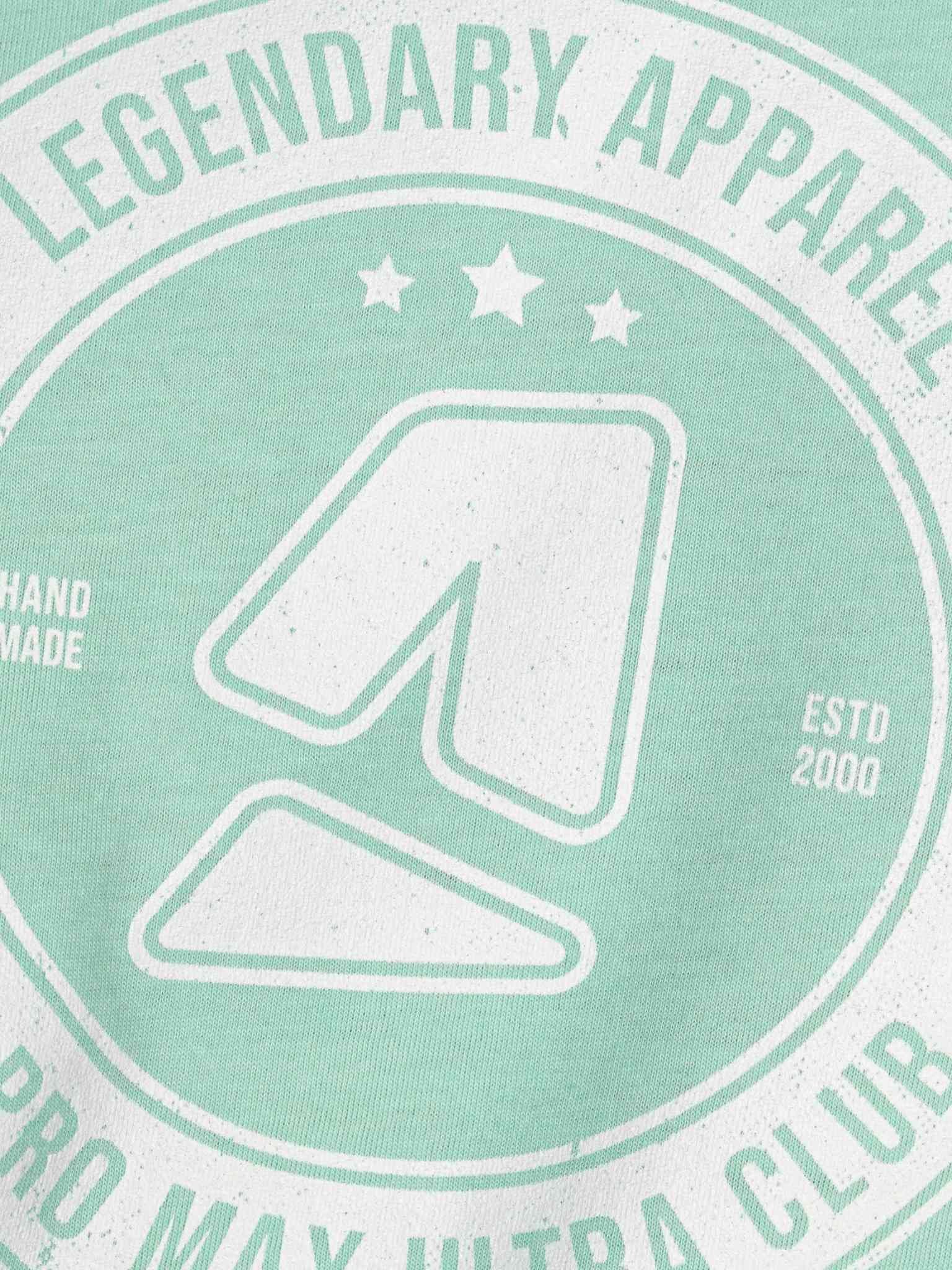 Logomark vintage Sport Tee (On Dark) product image (3)