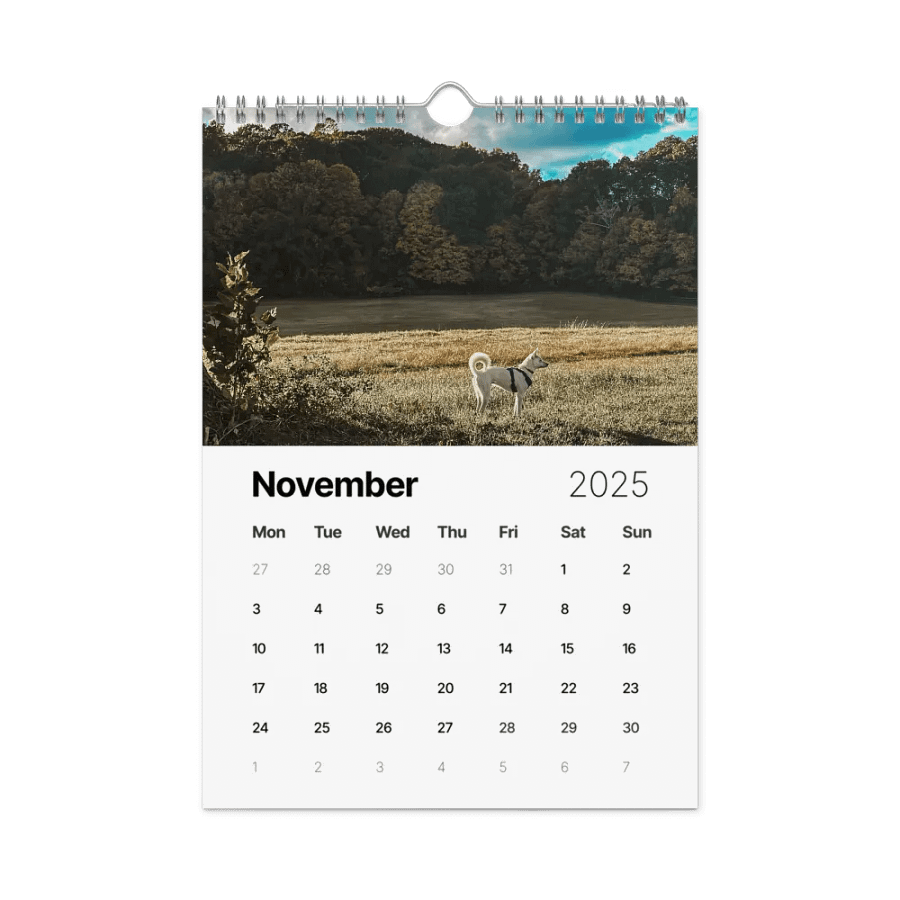 Eli's Favorite 2025 Calendar product image (11)